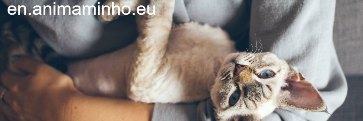 en.animaminho.eu